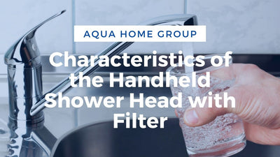 Characteristics of the Handheld Shower Head with Filter
