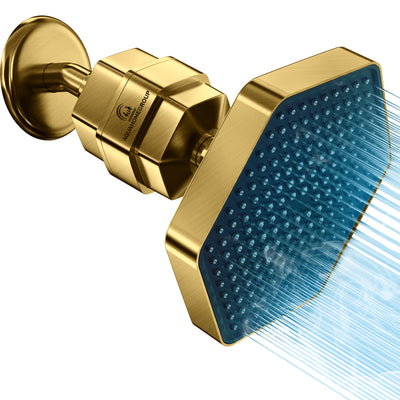 AquaHomeGroup High Pressure Rain Filtered Shower Head Brushed Gold with Filter, Vitamin C E A - SPA Effect